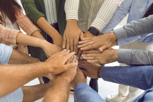 Les engagements du TAD